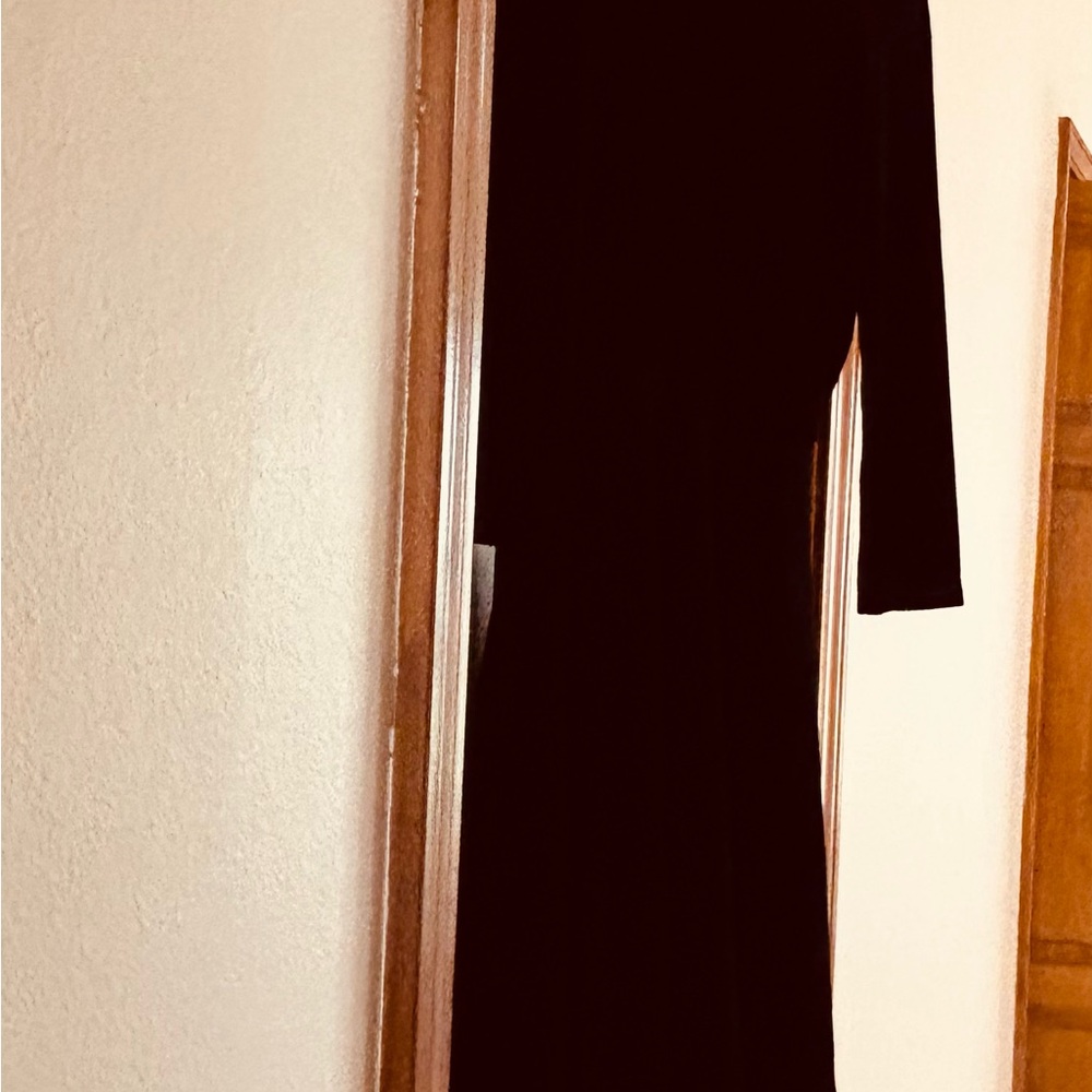 Elegant Black Velvet Dress - Picture 14 of 14